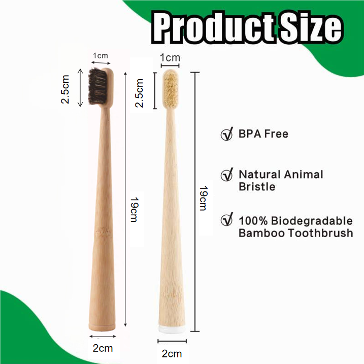 4 فرش أسنان من شعر الخنزير / ش - مراجعة Bamboo Toothbrush Set وسعره